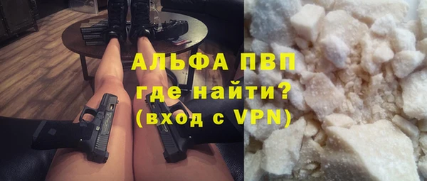 индика Волосово