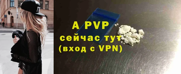 индика Волосово