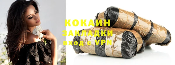 индика Волосово