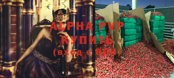 индика Волосово