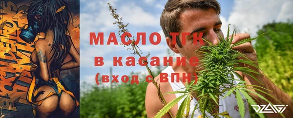 индика Волосово