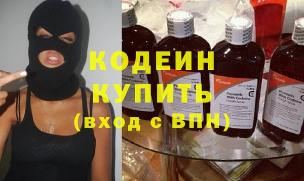 индика Волосово