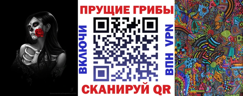 Псилоцибиновые грибы GOLDEN TEACHER  Купить закладки  Новотроицк 